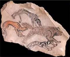 Pre-dynastic Egyptian petroglyph fragment